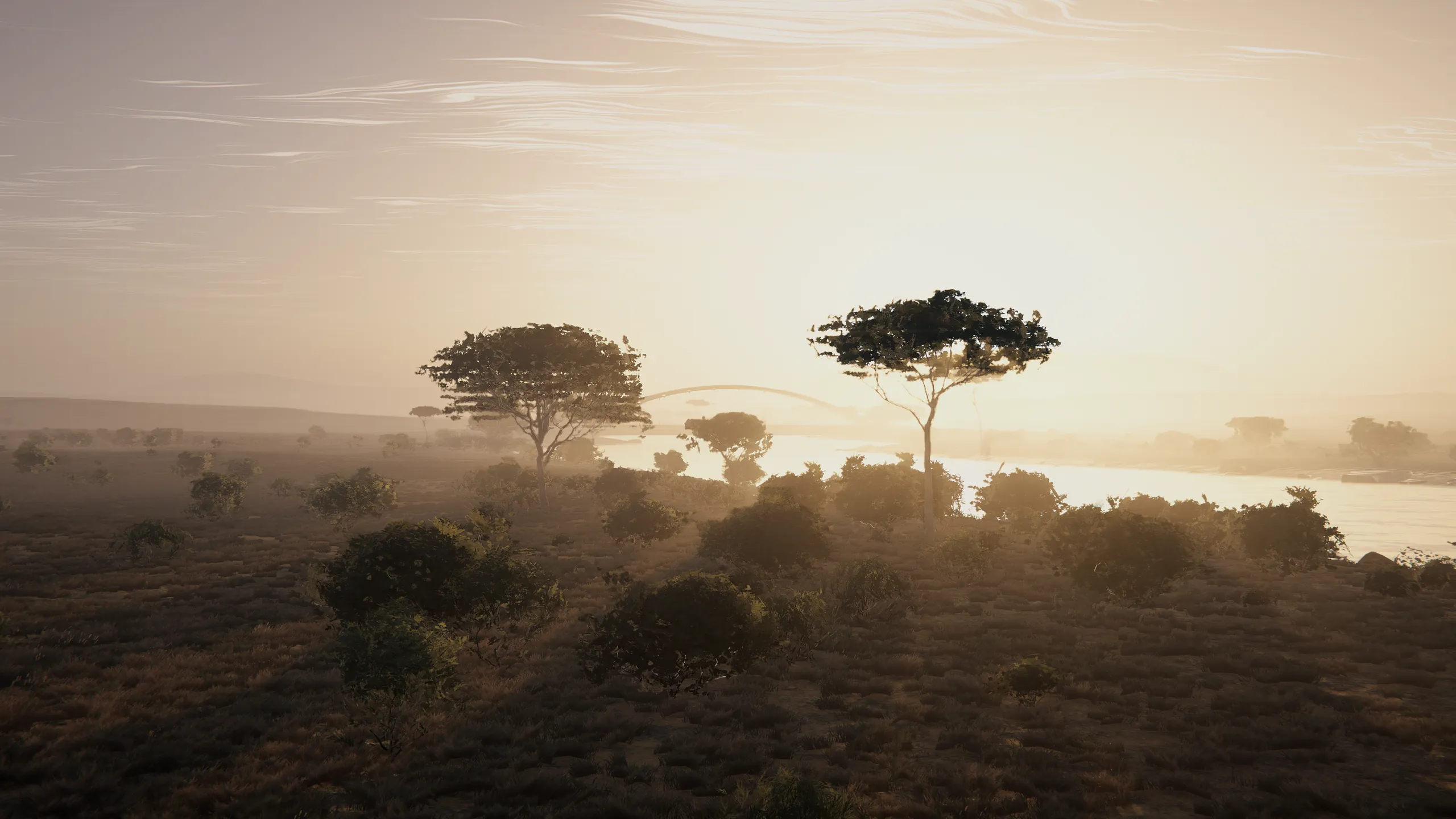 Morning mist along a river on Valta, umbrella trees in silhouette and the faint arch of a bridge in the haze